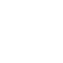 inclusion