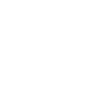 inclusion inspection audit