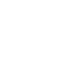 Whole school